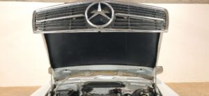 MVIMG_20260421_100605_resultat